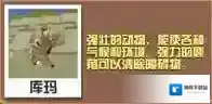疯狂动物园驼鹿大全 驼鹿属性图鉴
