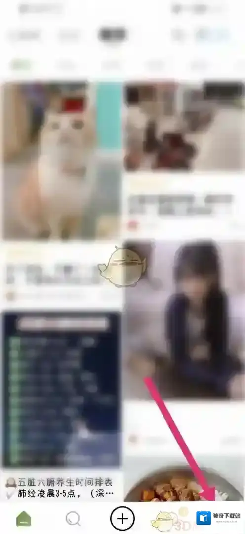 新浪绿洲找到我