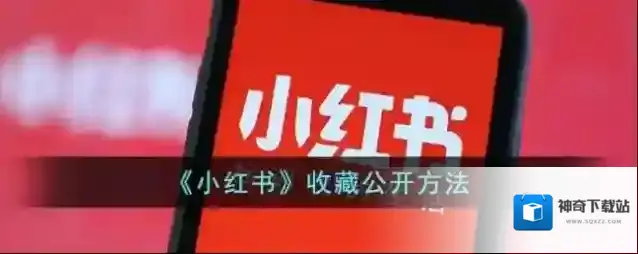 《小红书》收藏公开方法