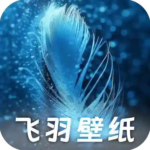 飞羽壁纸官方最新版-v1.0.0