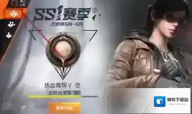 和平精英如何看