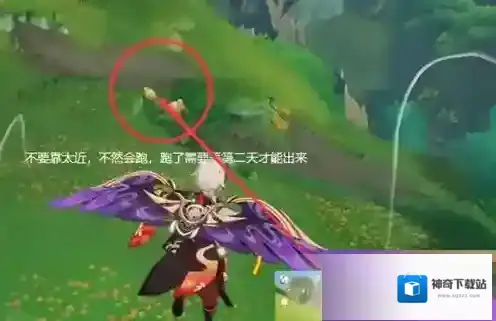 原神珍稀之鸟什么时候刷新？原神珍稀之鸟刷新时间介绍