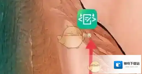 牛客点击