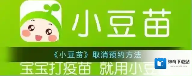 小豆苗预约