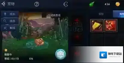 地下城与勇士M宠物