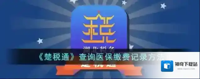 楚税通缴费
