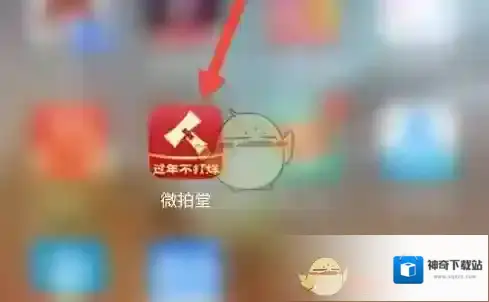 微拍如何退货