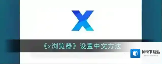 X浏览器选项