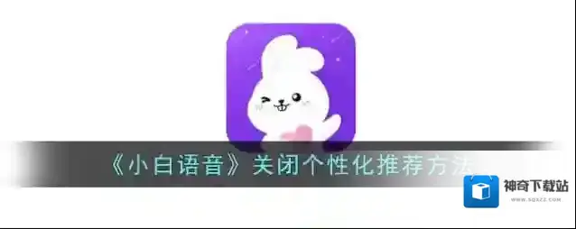 小白语音隐私设置