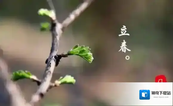 新浪微博的是