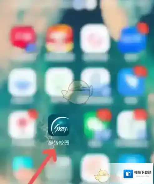 翻转校园信息