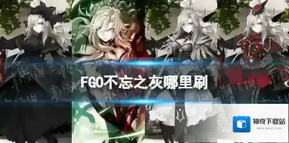fatego掉落