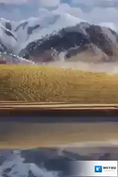 迷你世界中国