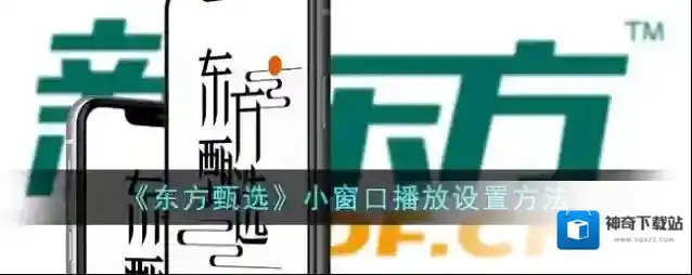《东方甄选》小窗口播放设置方法