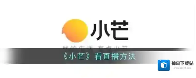 《小芒》看直播方法
