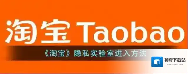 《淘宝》隐私实验室进入方法