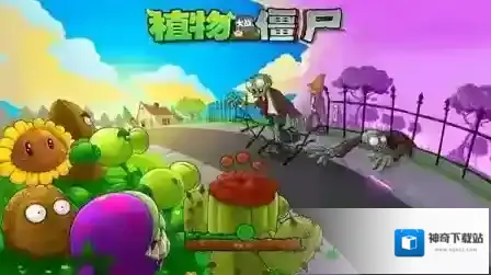 植物大战僵尸国际服