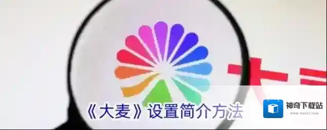 《大麦》设置简介方法