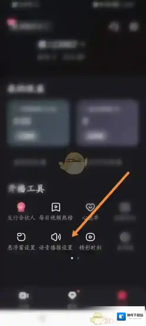 快手直播伴侣进场