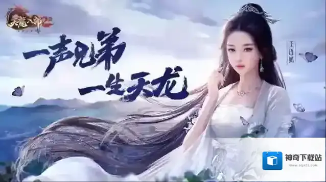 天龙八部2飞龙战天资质