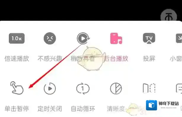 哔哩哔哩特色