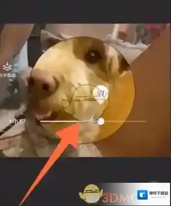 醒图图片