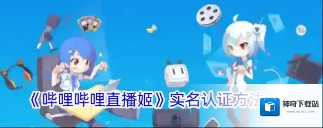 哔哩哔哩直播姬实名认证