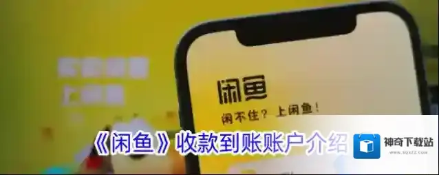 《闲鱼》收款到账账户介绍